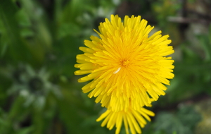 69d8e01e865cf_P4090152.JPG