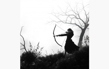 LE TIR A L'ARC ..... SEPT BONNES RAISONS DE LE PRATIQUER