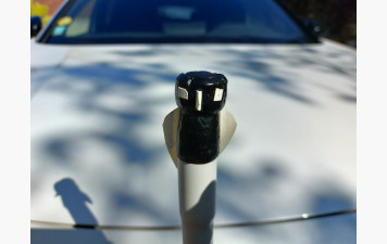 TIR A L'OISEAU OU TIR DU ROY