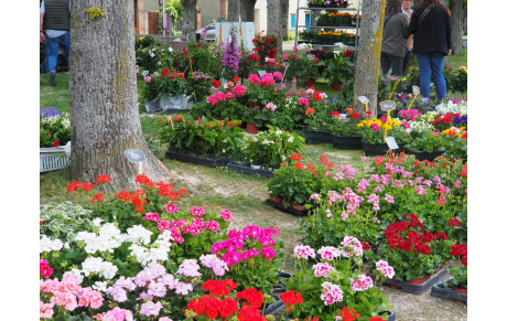 MARCHE AUX FLEURS 2025 - Initiation arc